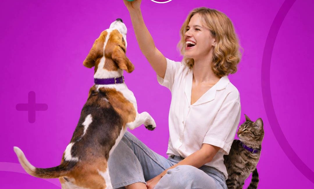 Pets Plus Us case study card with woman, cat, and dog on a studio background